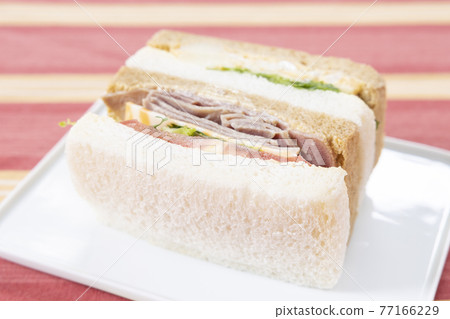 Delicious sandwich 77166229
