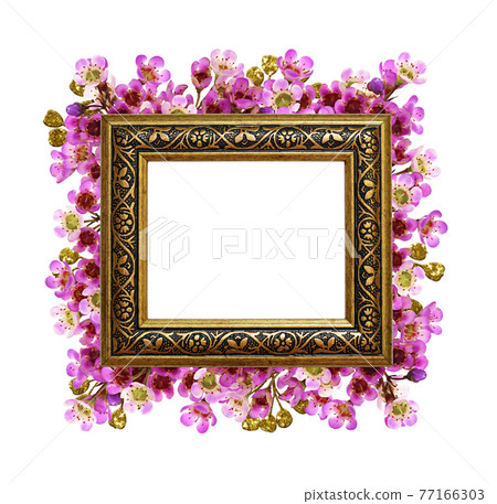 Pink chamelaucium flowers ana square bronze frame isolated on white 77166303