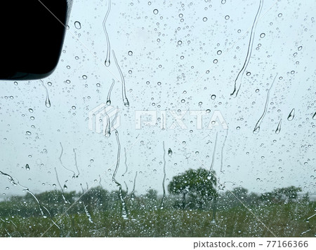 windshield 77166366