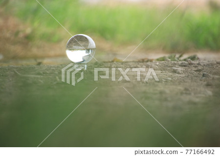 有水晶和綠色植物的風景 77166492