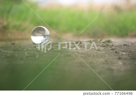 有水晶和綠色植物的風景 有水晶和綠色植物的風景 77166496