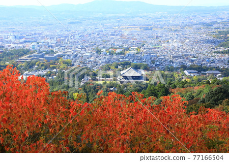 Great Buddha Hall and Nara cityscape seen from the summit of Mt. Wakakusa in autumn colors Great Buddha Hall and Nara cityscape seen from the summit of Mt. Wakakusa in autumn colors 77166504
