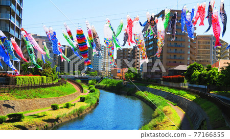 2021 20th Kawaguchi Shiba River Carp Streamer Festival Scenery 2021 20th Kawaguchi Shiba River Carp Streamer Festival Scenery 77166855