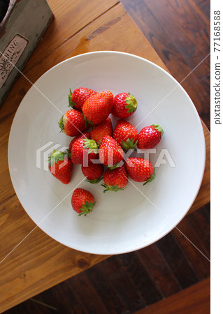 普通草莓 普通草莓 77168588