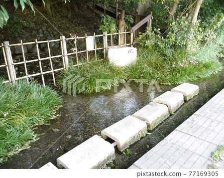 媽媽Shimomizu(東京最好的春天57) 媽媽Shimomizu(東京最好的春天57) 77169305