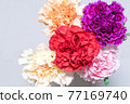 多彩的康乃馨 77169740