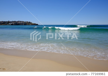 Bondi to Coogee Coastal Walk, one of the most beautiful views in Sydney Bondi to Coogee Coastal Walk, one of the most beautiful views in Sydney 77169961