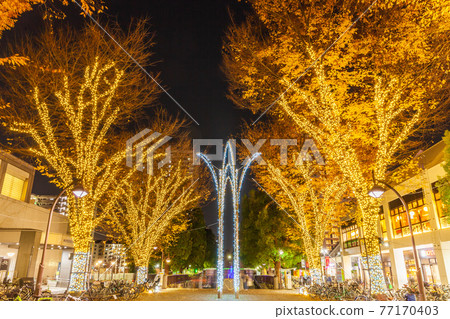 Illuminations of Hikarigaoka Park Tokyo night view 77170403