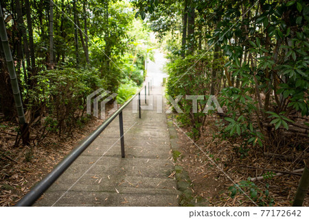 Usa City Juhoyama Daijoin Usa City Juhoyama Daijoin 77172642