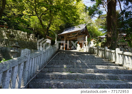 Tsushima Izuhara Hachimangu Shrine Tsushima Izuhara Hachimangu Shrine 77172953
