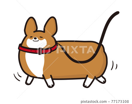 Vector illustration of Corgi taking a walk 77173108