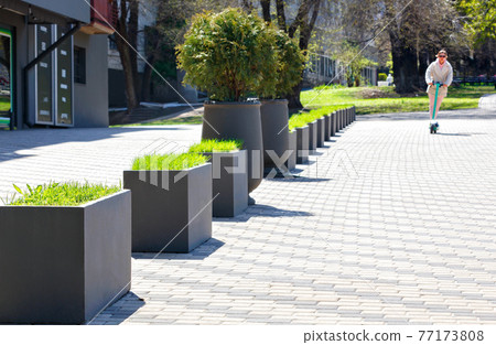 A beautiful sidewalk path decorated with concrete street vases with green grass and bushes is flooded with sunlight. 77173808