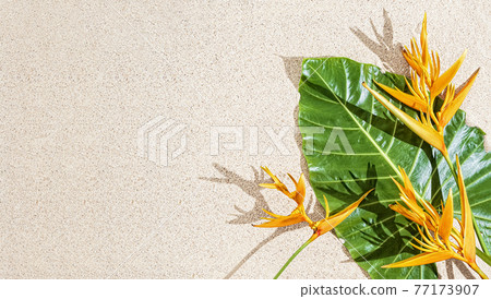Exotic orange tropical flower and large green leaf on sand background, copy space, top view 77173907