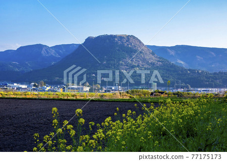 Kozu-cho Oita Prefecture Kanagi cho 77175173