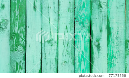 Shabby weathered wooden wall painted of bright green paint Shabby weathered wooden wall painted of bright green paint 77175366