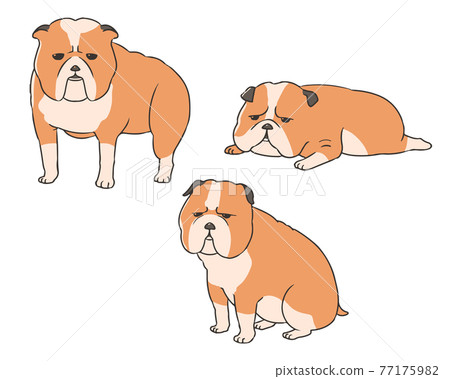 牛頭犬 牛頭犬 77175982