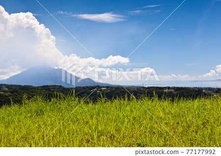 Distant view of Sakurajima Distant view of Sakurajima 77177992
