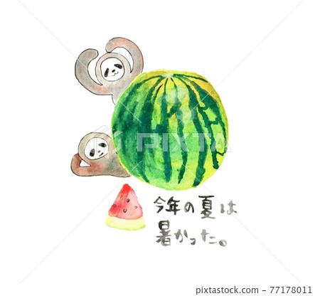 Watermelon, sloth and summer greetings Watermelon, sloth and summer greetings 77178011