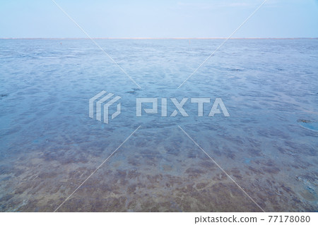 【有明海的灘塗】佐賀縣鹿島市音成港 【有明海的灘塗】佐賀縣鹿島市音成港 77178080