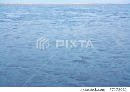 【有明海的灘塗】佐賀縣鹿島市音成港 【有明海的灘塗】佐賀縣鹿島市音成港 77178081