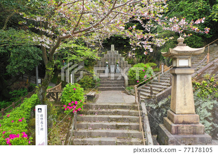 鹿兒島市薩摩吉志紀念碑鳥瞰圖 鹿兒島市薩摩吉志紀念碑鳥瞰圖 77178105