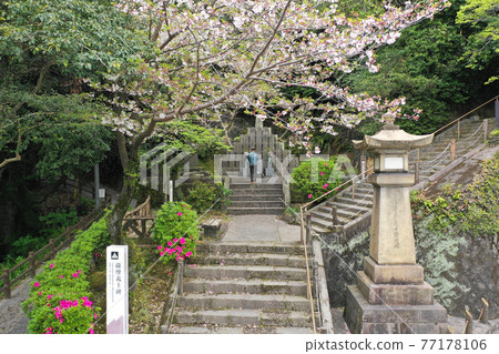 鹿兒島市薩摩吉志紀念碑的祭祀 77178106