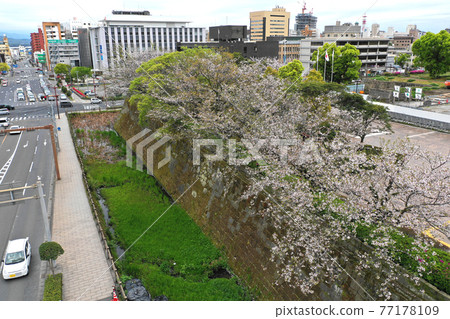 鶴丸城遺址護城河櫻花樹鳥瞰圖 77178109