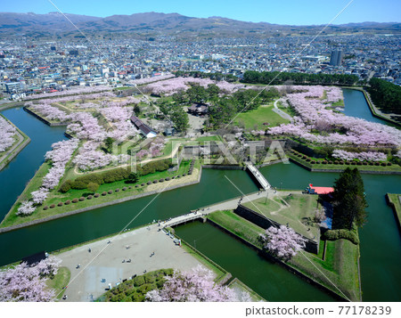 Goryokaku Goryokaku 77178239