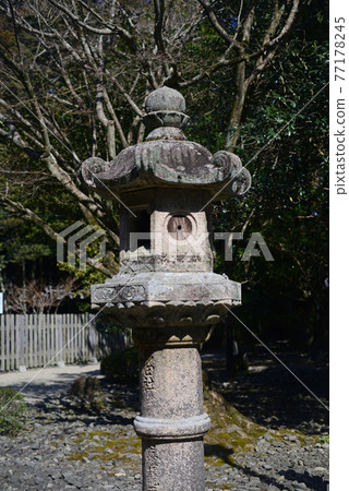 Stone lanterns at Tada Shrine-2 Stone lanterns at Tada Shrine-2 77178245