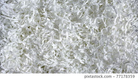 Shredded paper texture background, top view of many white paper strips Shredded paper texture background, top view of many white paper strips 77178359