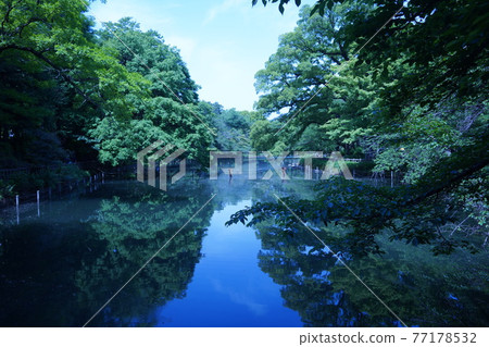 Inokashira Park / Inokashira Pond where fresh green shines on the surface of the water under fine weather 77178532
