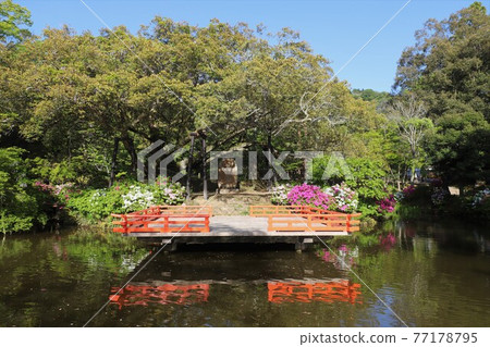 奈良Manyo植物園的富士 奈良Manyo植物園的富士 77178795