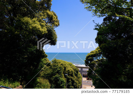 Oarai Precious Shrine Oarai Precious Shrine 77179185