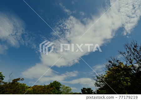 Blue sky and clouds over Kamakura Kotokuin 77179219