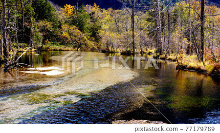 上高地的岳澤濕地和紅葉 上高地的岳澤濕地和紅葉 77179789