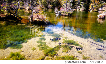 Clear stream of Kamikochi 77179834