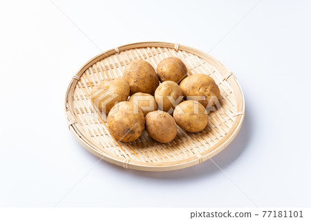 新土豆 新土豆 77181101