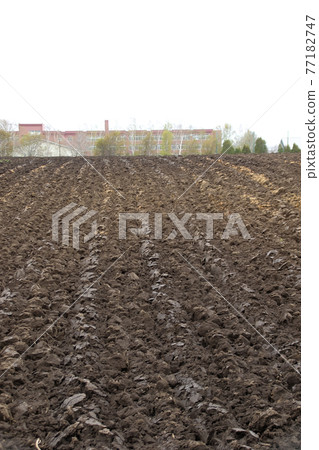 Soil, land, farmland, crops, farming, agriculture, fields, outdoors, ground 77182747
