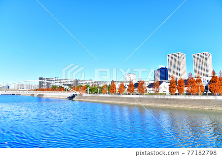 眺望堺川的新浦安站（千葉縣浦安市） [2020.12] 77182798