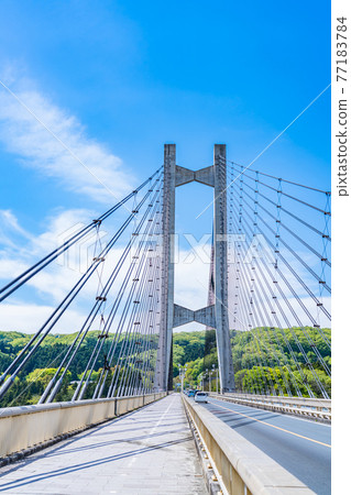 Cityscape of Saitama Chichibu Scenery with Chichibu Park Bridge (Chichibu Harp Bridge) 77183784