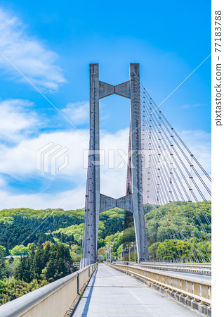 Cityscape of Saitama Chichibu Scenery with Chichibu Park Bridge (Chichibu Harp Bridge) 77183788