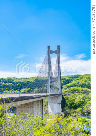 Cityscape of Saitama Chichibu Scenery with Chichibu Park Bridge (Chichibu Harp Bridge) 77183795