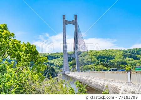 Cityscape of Saitama Chichibu Scenery with Chichibu Park Bridge (Chichibu Harp Bridge) 77183799