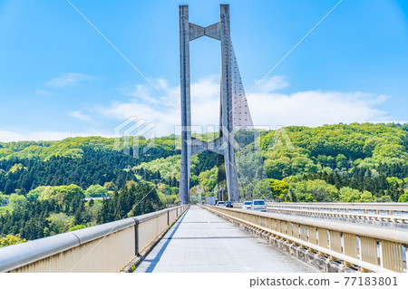 Cityscape of Saitama Chichibu Scenery with Chichibu Park Bridge (Chichibu Harp Bridge) 77183801