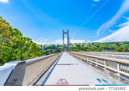 Cityscape of Saitama Chichibu Scenery with Chichibu Park Bridge (Chichibu Harp Bridge) 77183802
