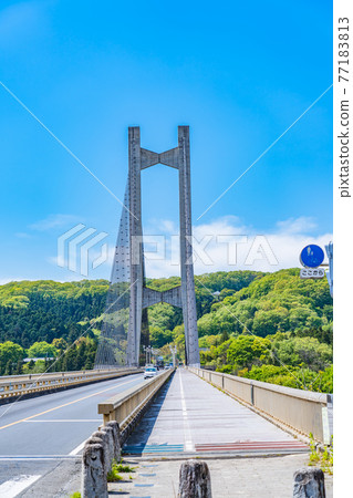 Cityscape of Saitama Chichibu Scenery with Chichibu Park Bridge (Chichibu Harp Bridge) 77183813
