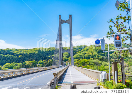 Cityscape of Saitama Chichibu Scenery with Chichibu Park Bridge (Chichibu Harp Bridge) 77183814