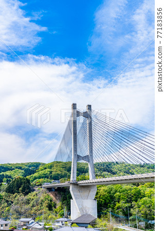 Cityscape of Saitama Chichibu Scenery with Chichibu Park Bridge (Chichibu Harp Bridge) 77183856