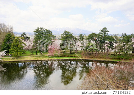Hirosaki Park, a famous place for cherry blossoms Hirosaki Park, a famous place for cherry blossoms 77184122