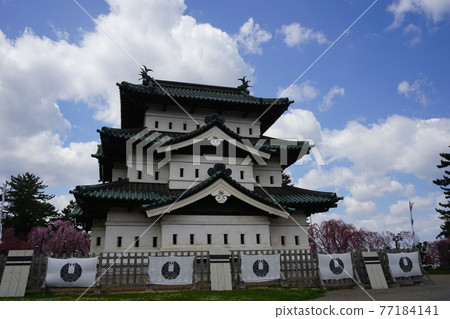 Hirosaki Park, a famous place for cherry blossoms 77184141